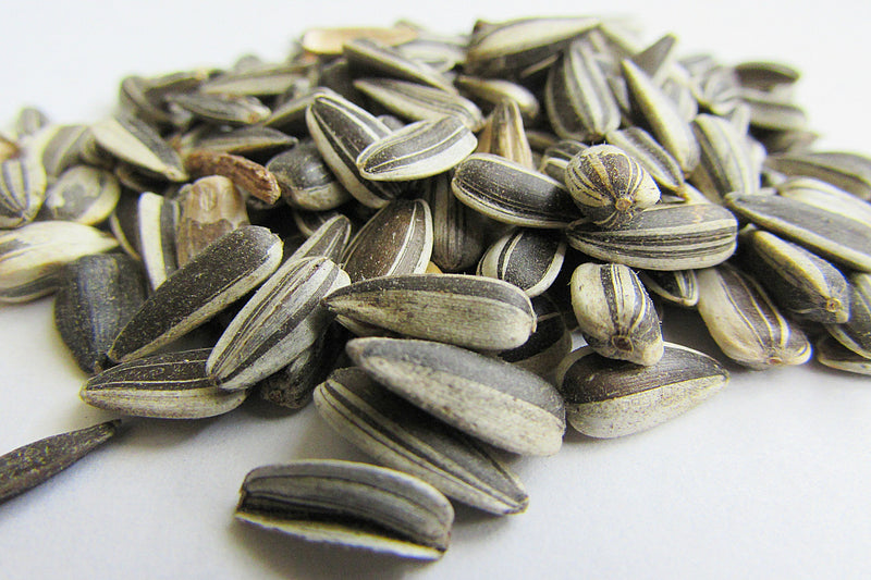 Salted Sunflower Seeds
